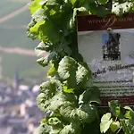 Weingut Gaestehaus Derkum Ürzig