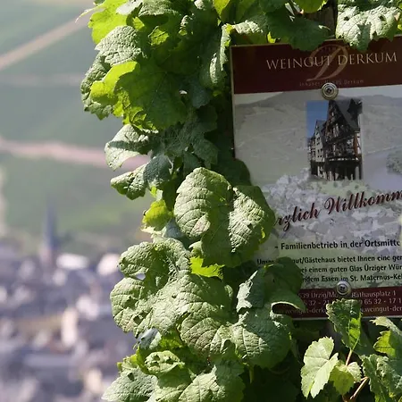 Weingut Gaestehaus Derkum Uerzig