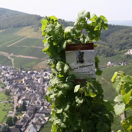 Weingut Gaestehaus Derkum