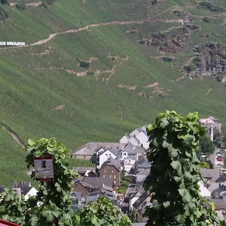 Inn Weingut Gaestehaus Derkum