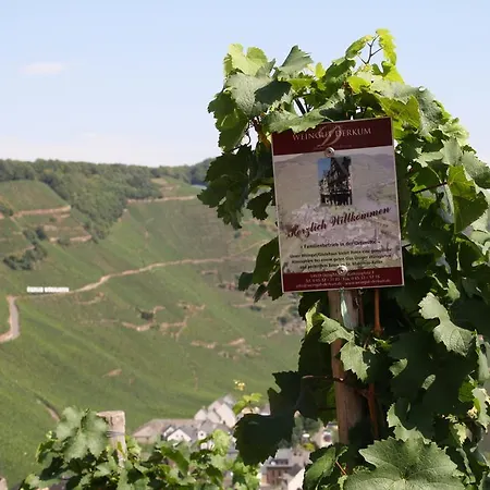 Weingut Gaestehaus Derkum