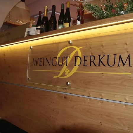 Inn Weingut Gaestehaus Derkum 3*