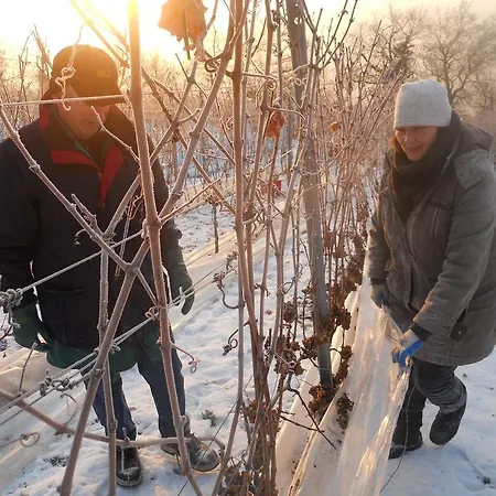 Weingut Gaestehaus Derkum