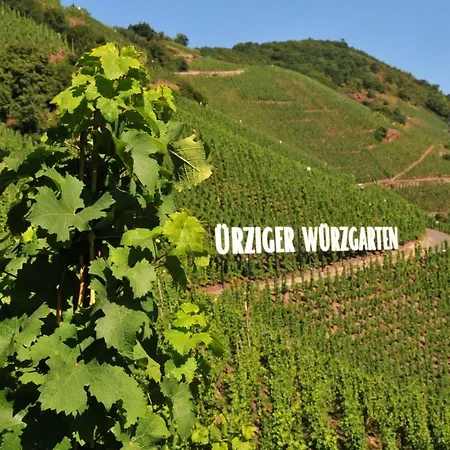 Weingut Gaestehaus Derkum 3*