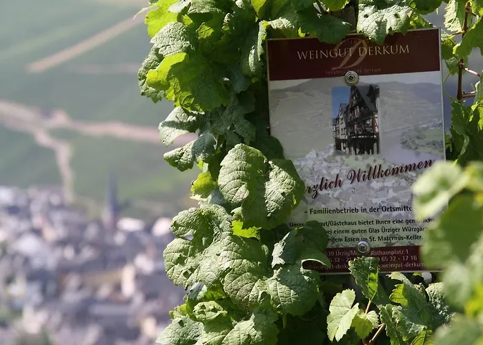 Weingut Gaestehaus Derkum Ürzig