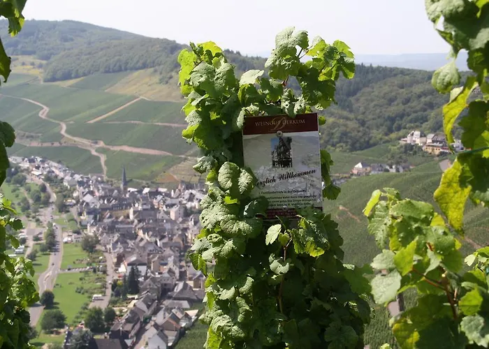 Weingut Gaestehaus Derkum