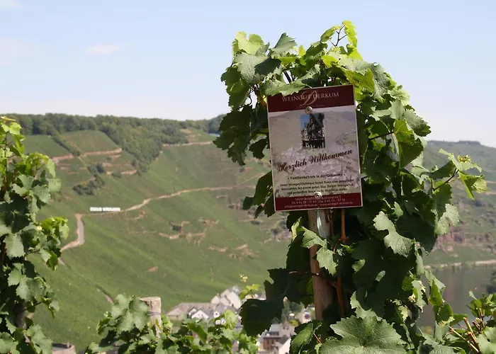 Weingut Gaestehaus Derkum