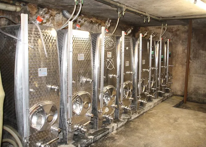 אורחן Weingut Gaestehaus Derkum Ürzig