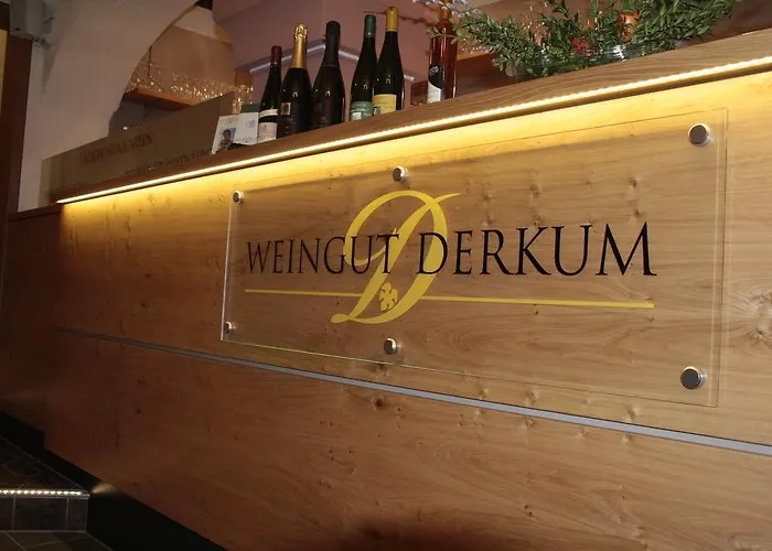 Estalagem Weingut Gaestehaus Derkum 3*