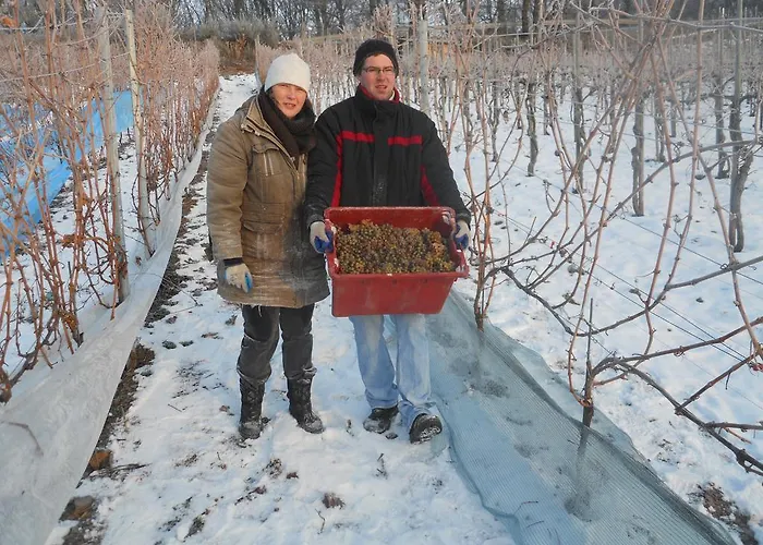 אורחן Weingut Gaestehaus Derkum 3*