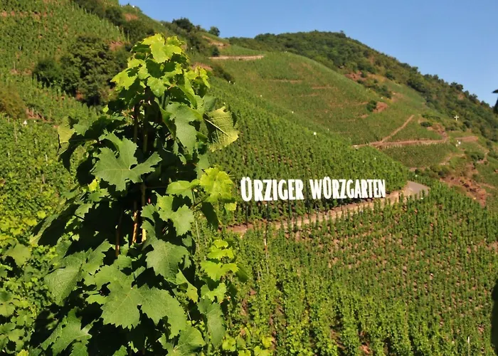 Weingut Gaestehaus Derkum 3*